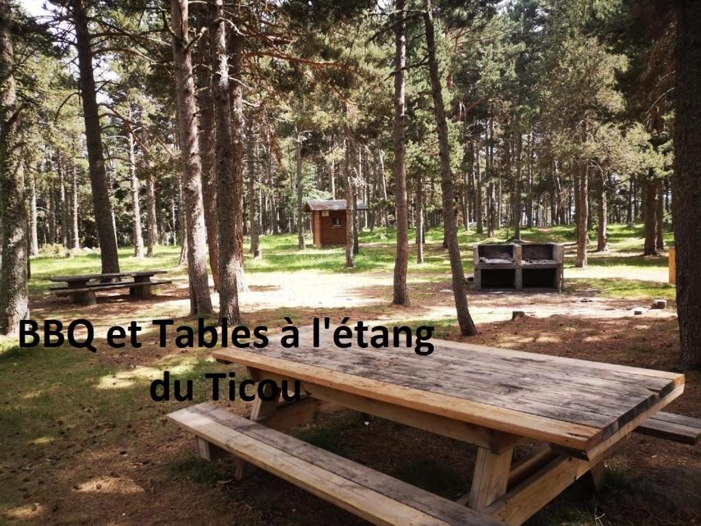 Apt Confortable Au Pied Des Pistes Et De La Foret Bolquere Pyrenees 2000 Esterno foto